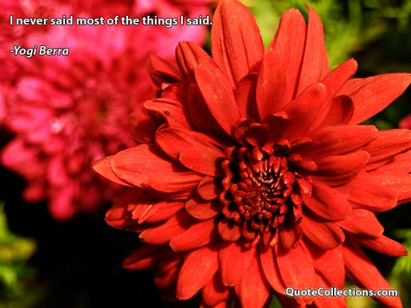 Yogi Berra Quotes1